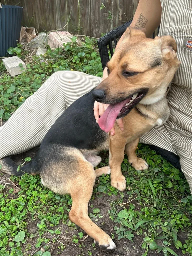 Little Man thumbnail 3