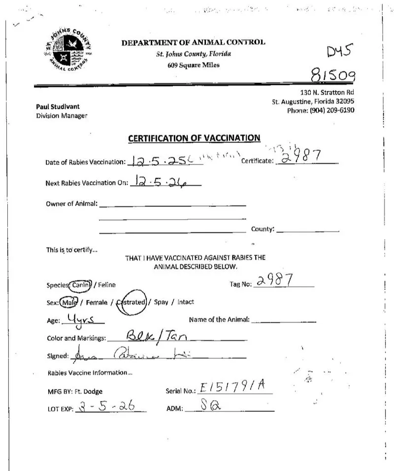 Little Man thumbnail 5