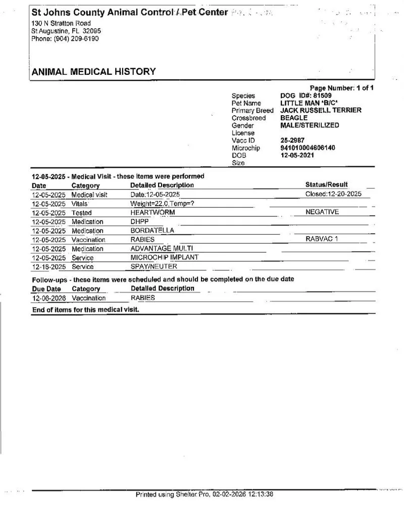 Little Man thumbnail 6