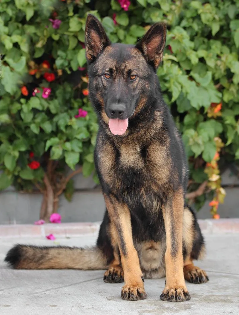 Jake Von Kreuztal thumbnail 2