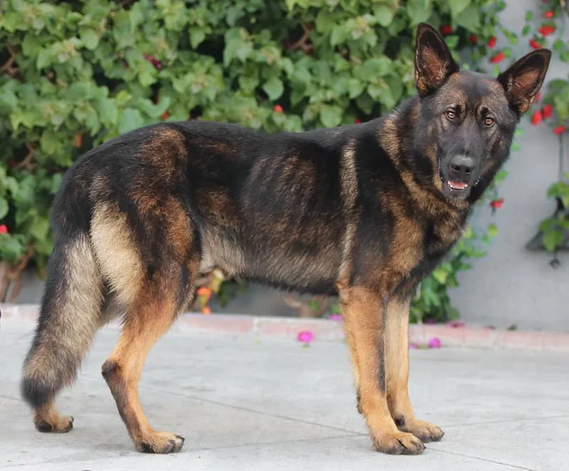 Jake Von Kreuztal thumbnail 3