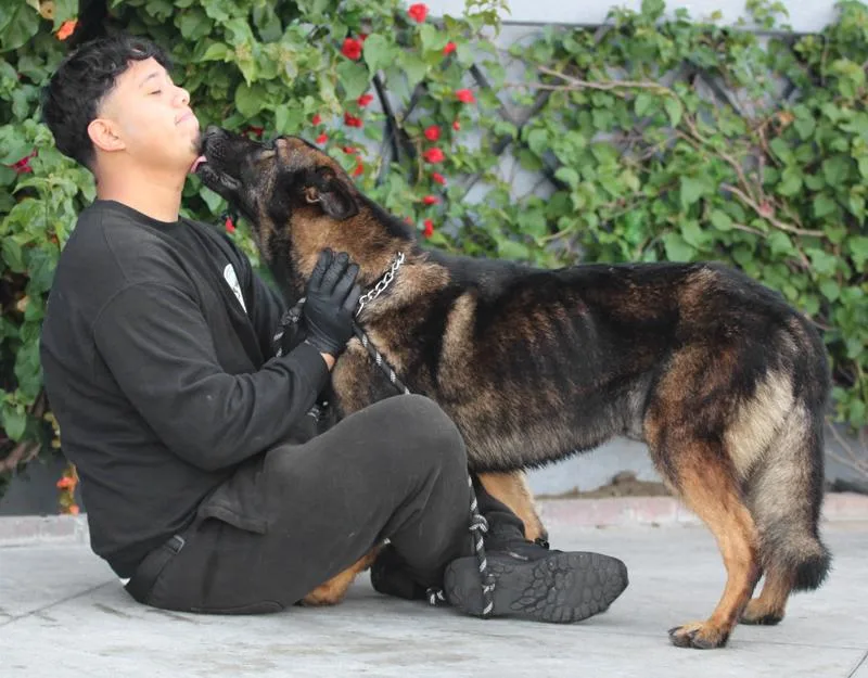 Jake Von Kreuztal thumbnail 5