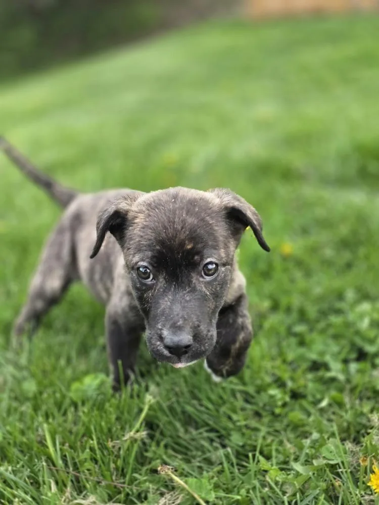 Srv Palau : Caryn thumbnail 2