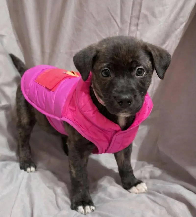 Srv Palau : Caryn thumbnail 3