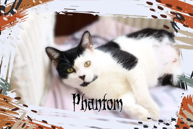 Phantom thumbnail 2