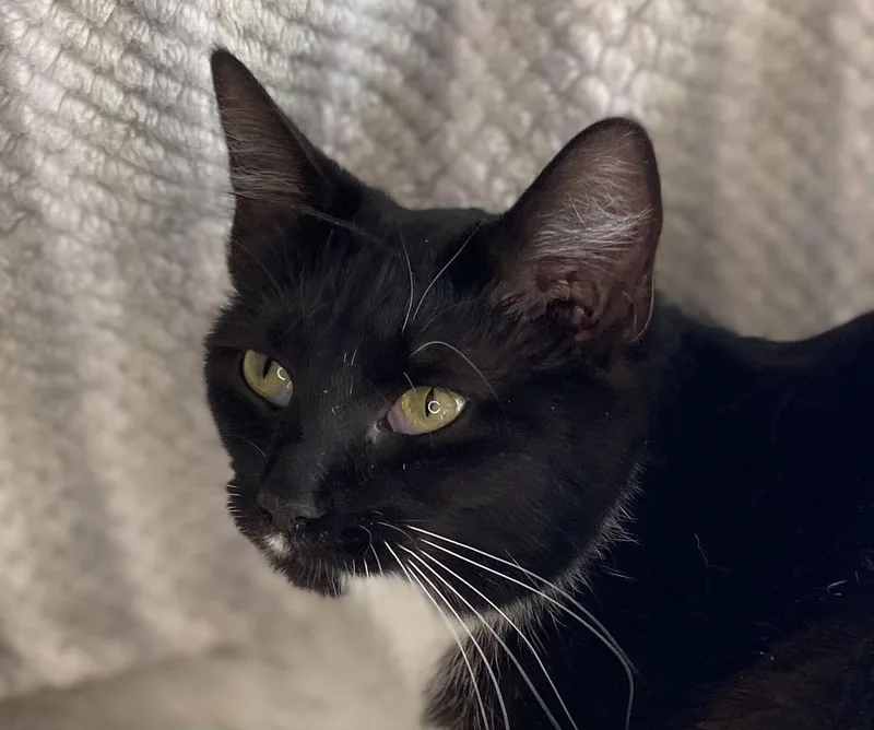 Tina  Meet Me thumbnail 2