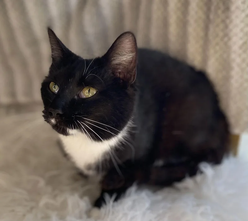 Tina  Meet Me thumbnail 3