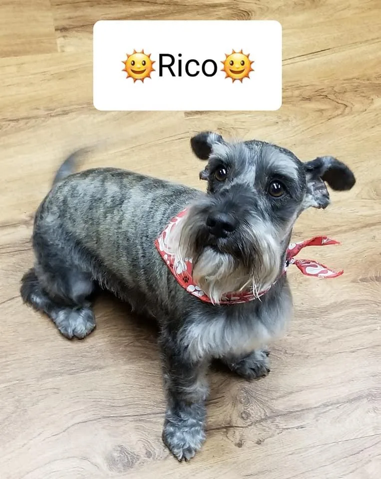 Rico
