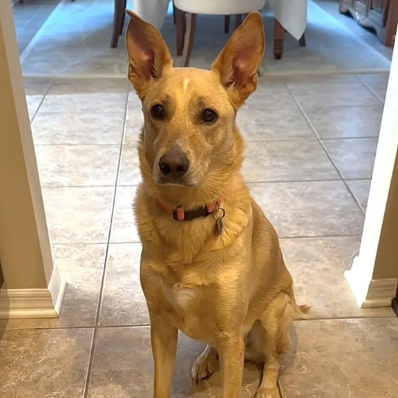 Molly Bae thumbnail 2