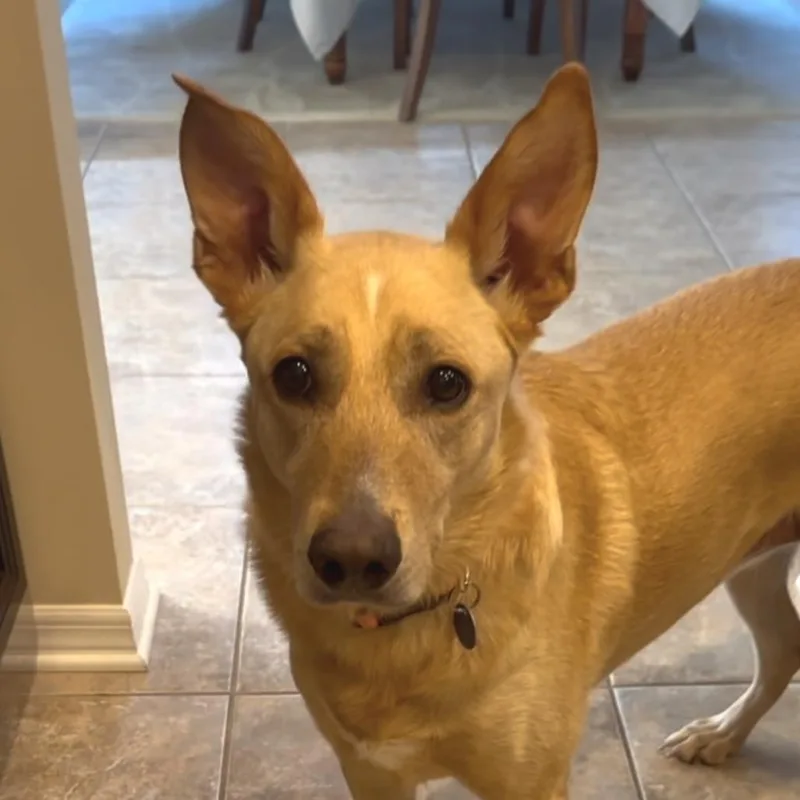 Molly Bae thumbnail 3