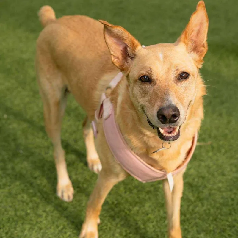 Molly Bae thumbnail 4