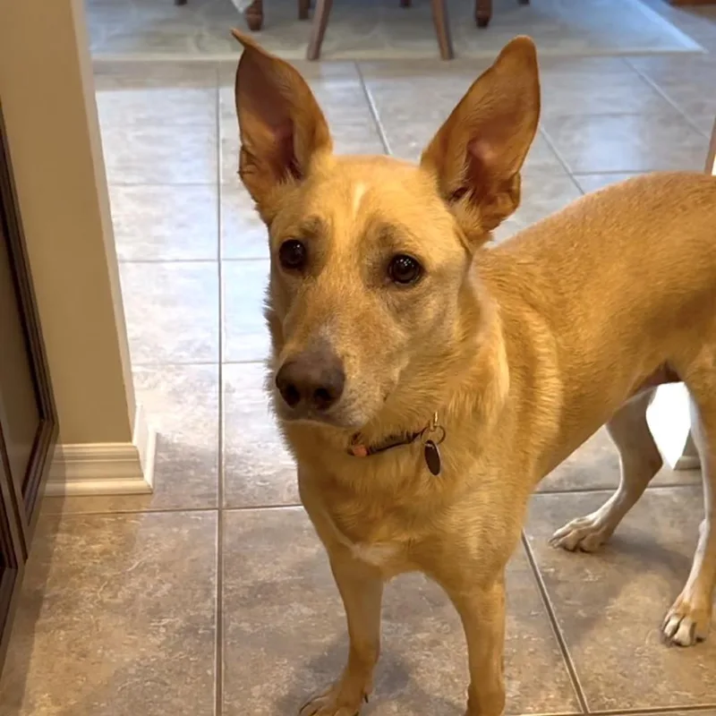 Molly Bae thumbnail 5