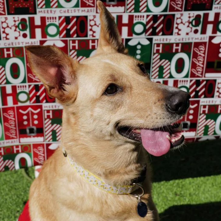 Molly Bae thumbnail 6