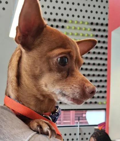 Jr