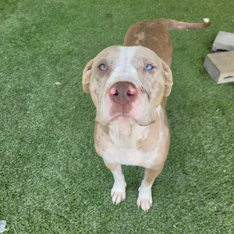 Big Bertha thumbnail 2