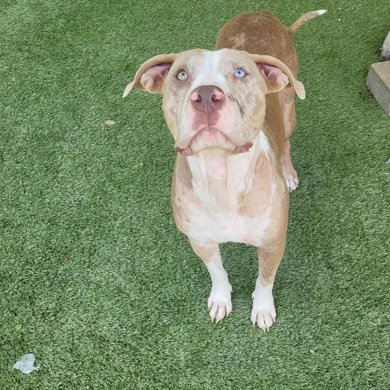 Big Bertha thumbnail 3