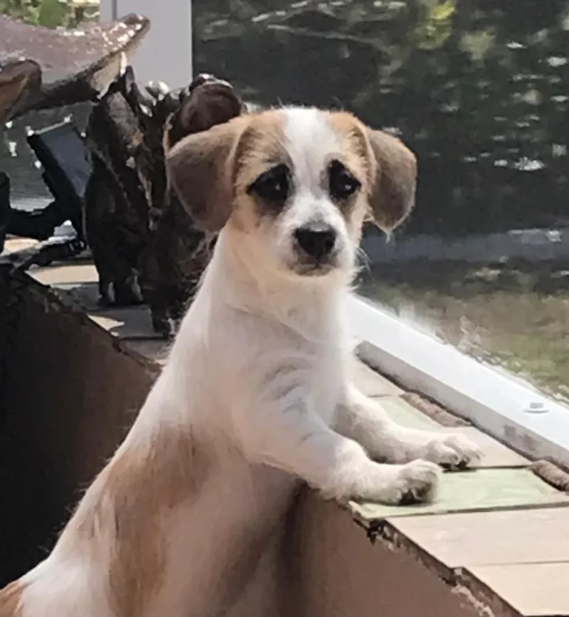 Sadie