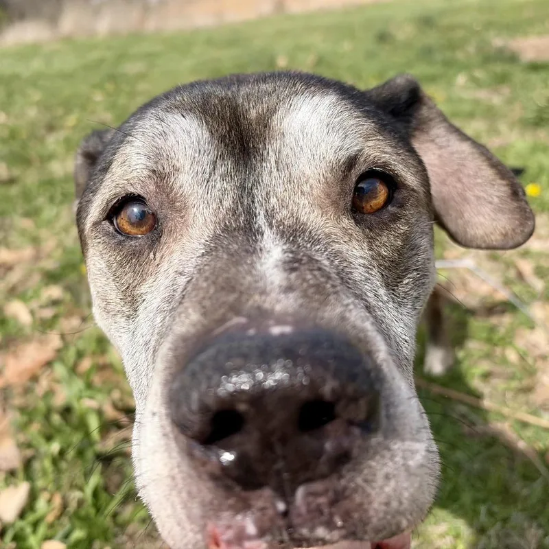 Jax