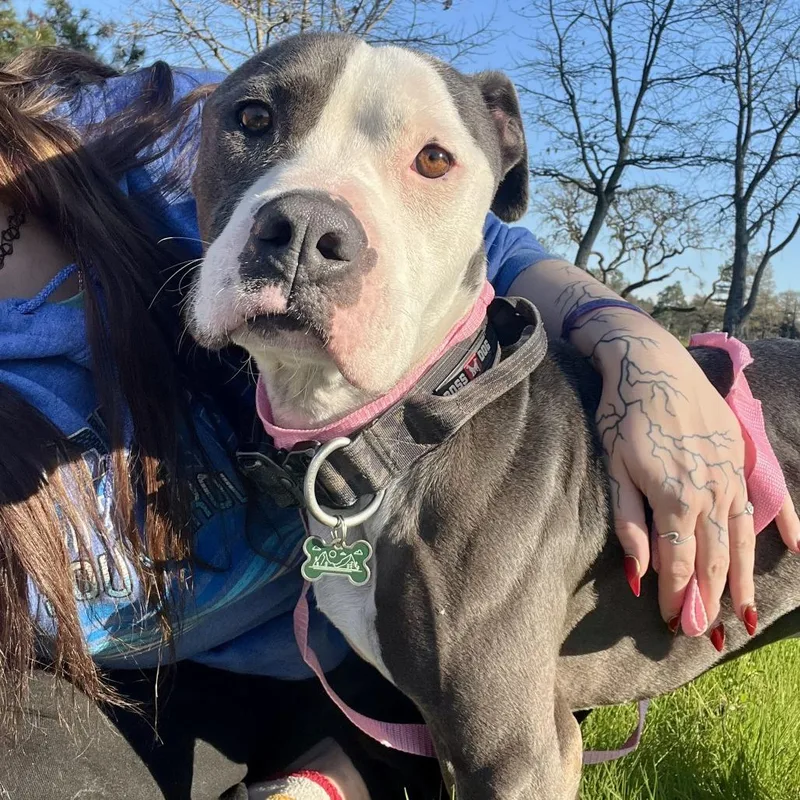 Rico Suave thumbnail 3