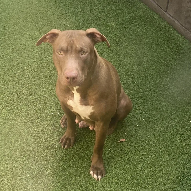 Mama Linda Aka Iggy thumbnail 2