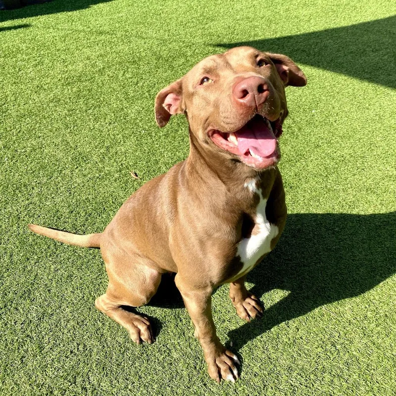 Mama Linda Aka Iggy thumbnail 4