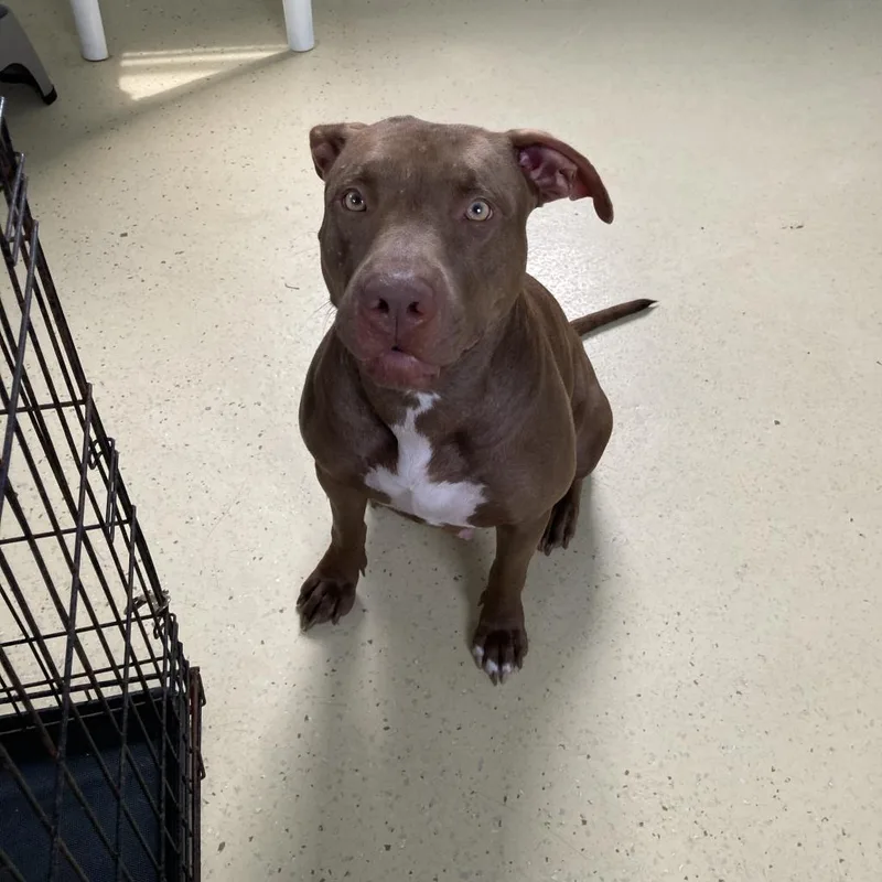 Mama Linda Aka Iggy thumbnail 5