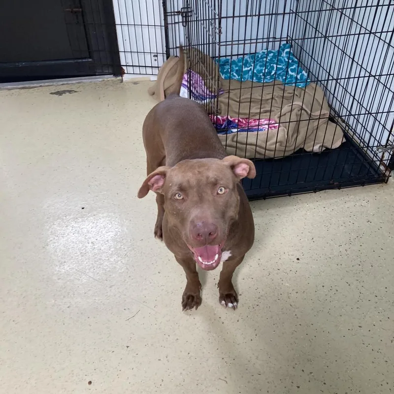 Mama Linda Aka Iggy thumbnail 6