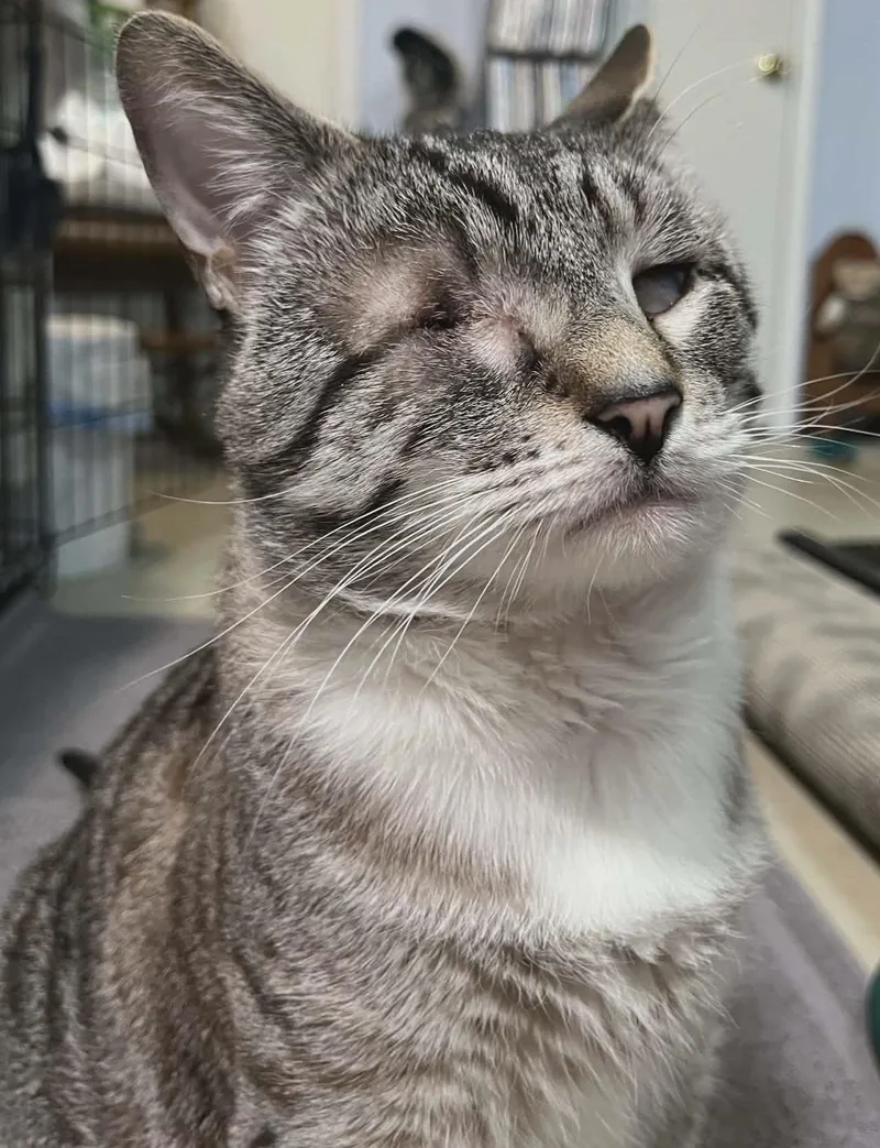 Binky And Bubby thumbnail 2