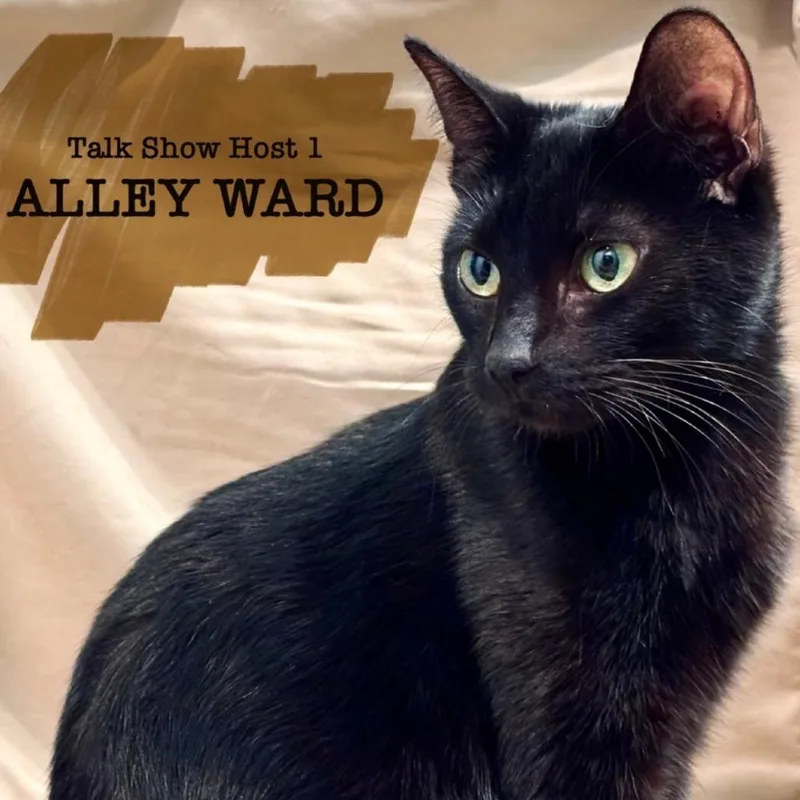 Alley Ward thumbnail 2