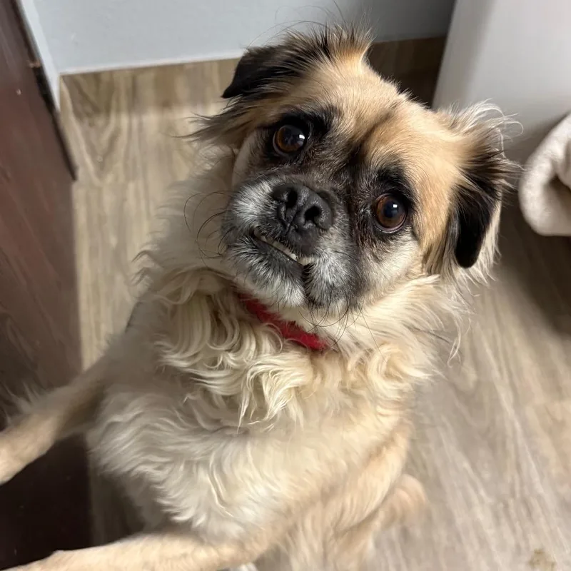 Franklin