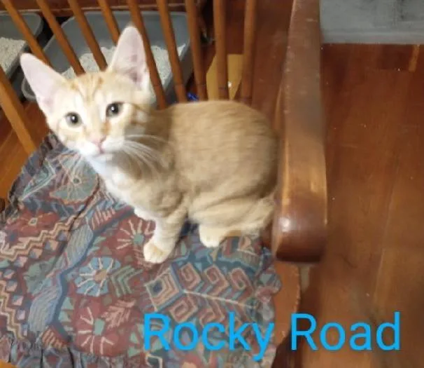 Rocky Road thumbnail 2