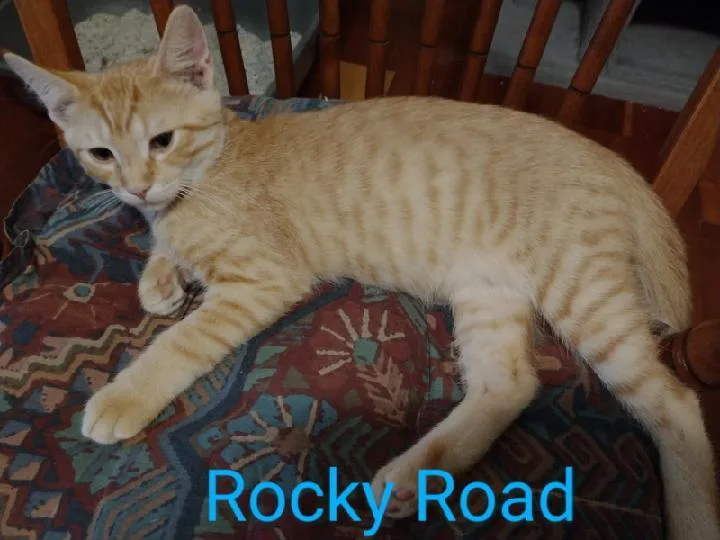 Rocky Road thumbnail 3