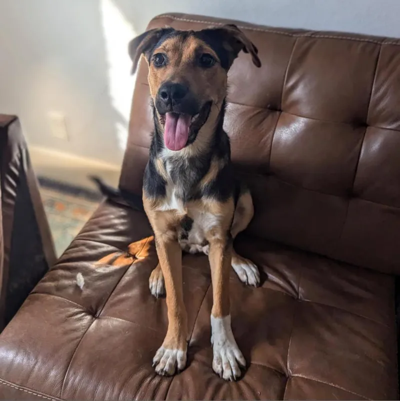 Brother Jum thumbnail 2