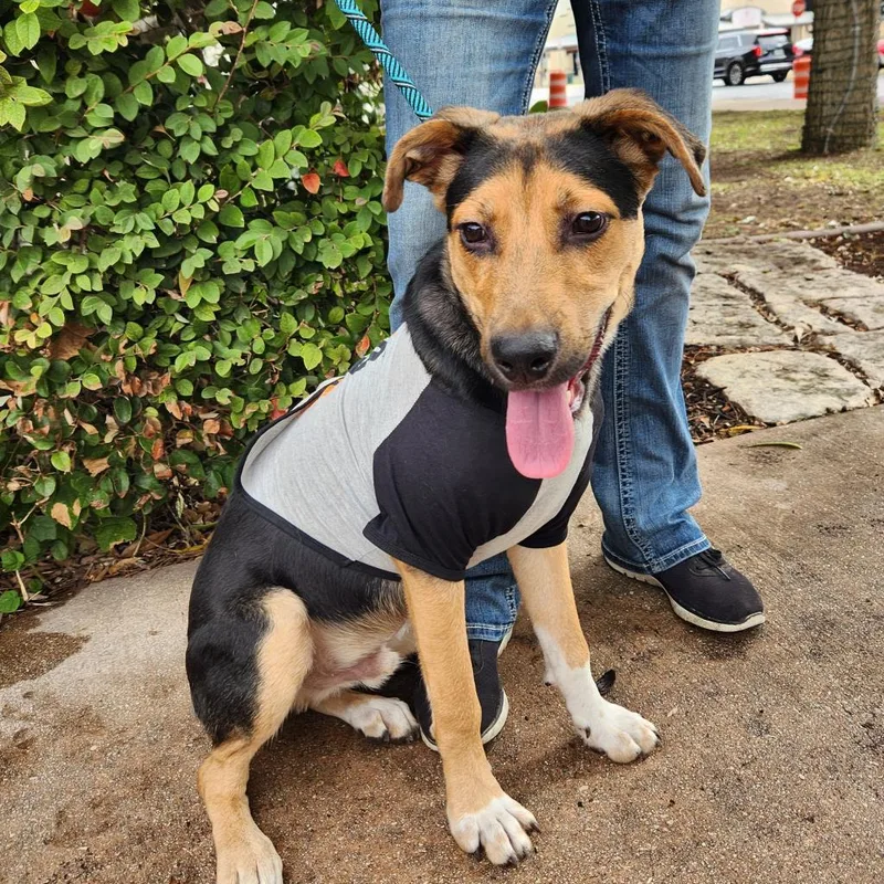 Brother Jum thumbnail 3