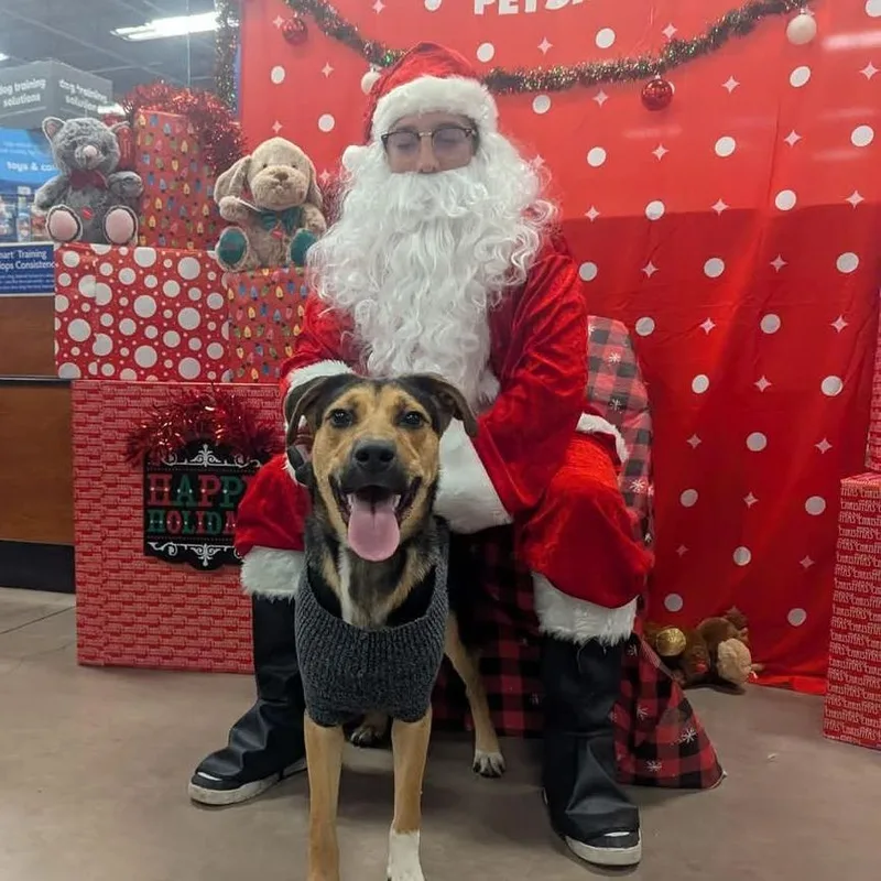 Brother Jum thumbnail 6