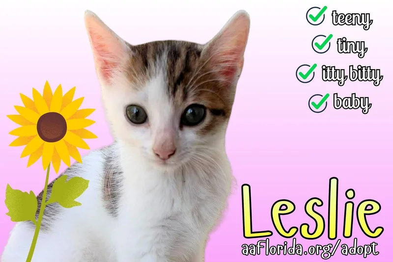 Leslie thumbnail 3