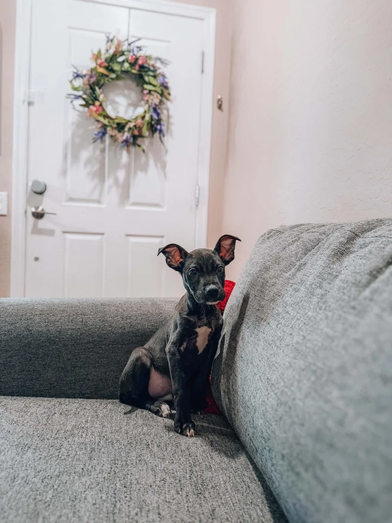 Max