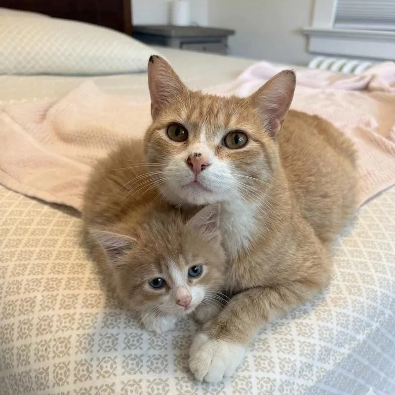 Bo & Louisiana thumbnail 3