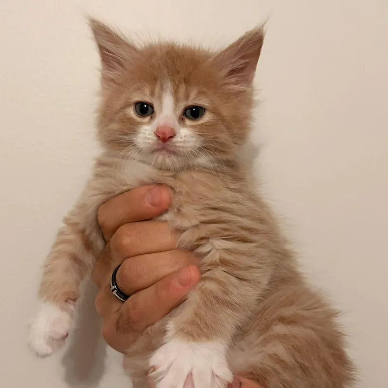 Bo & Louisiana thumbnail 6