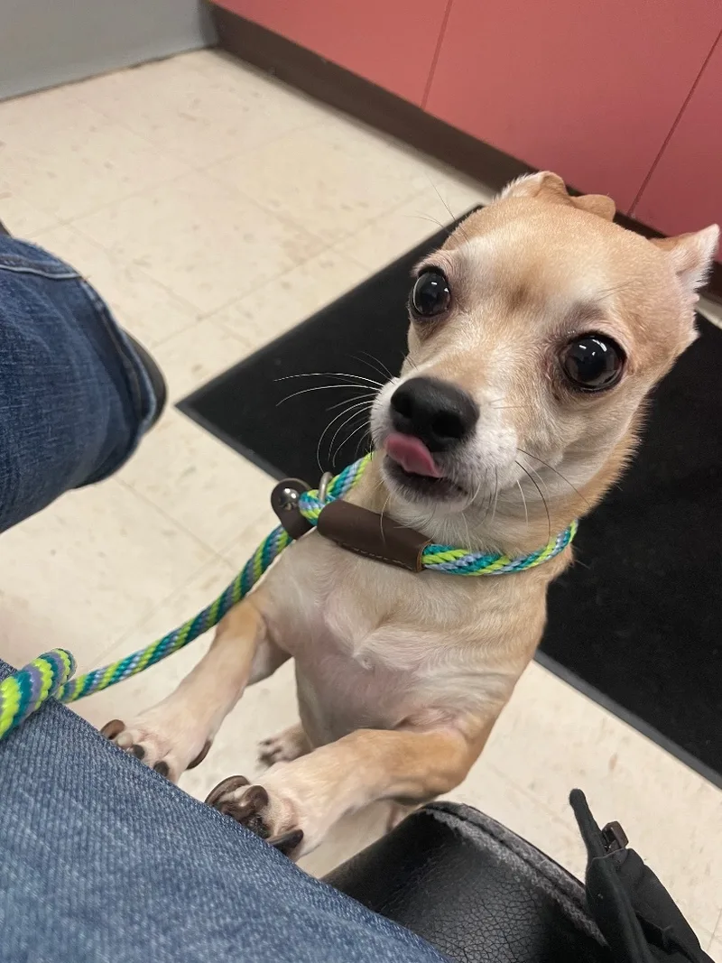 Jonathan thumbnail 2