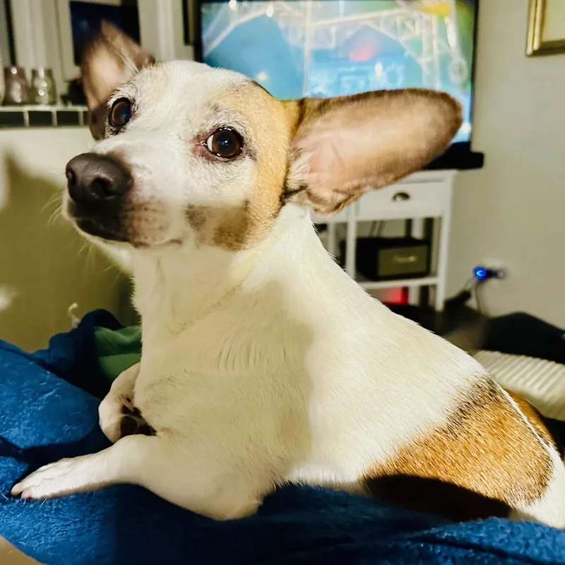 Buddysweet Shyer Guy! thumbnail 2