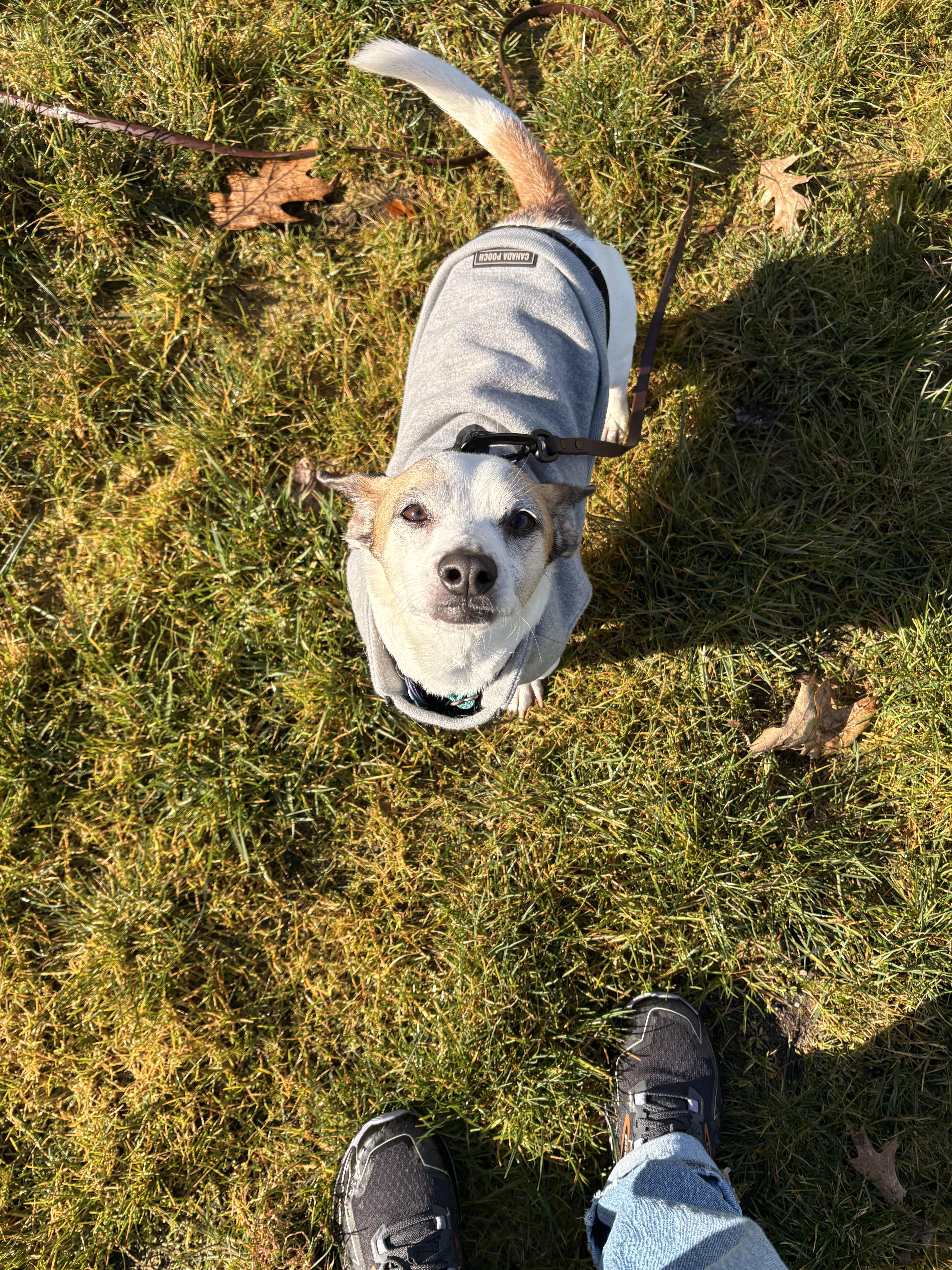 Buddysweet Shyer Guy! thumbnail 3