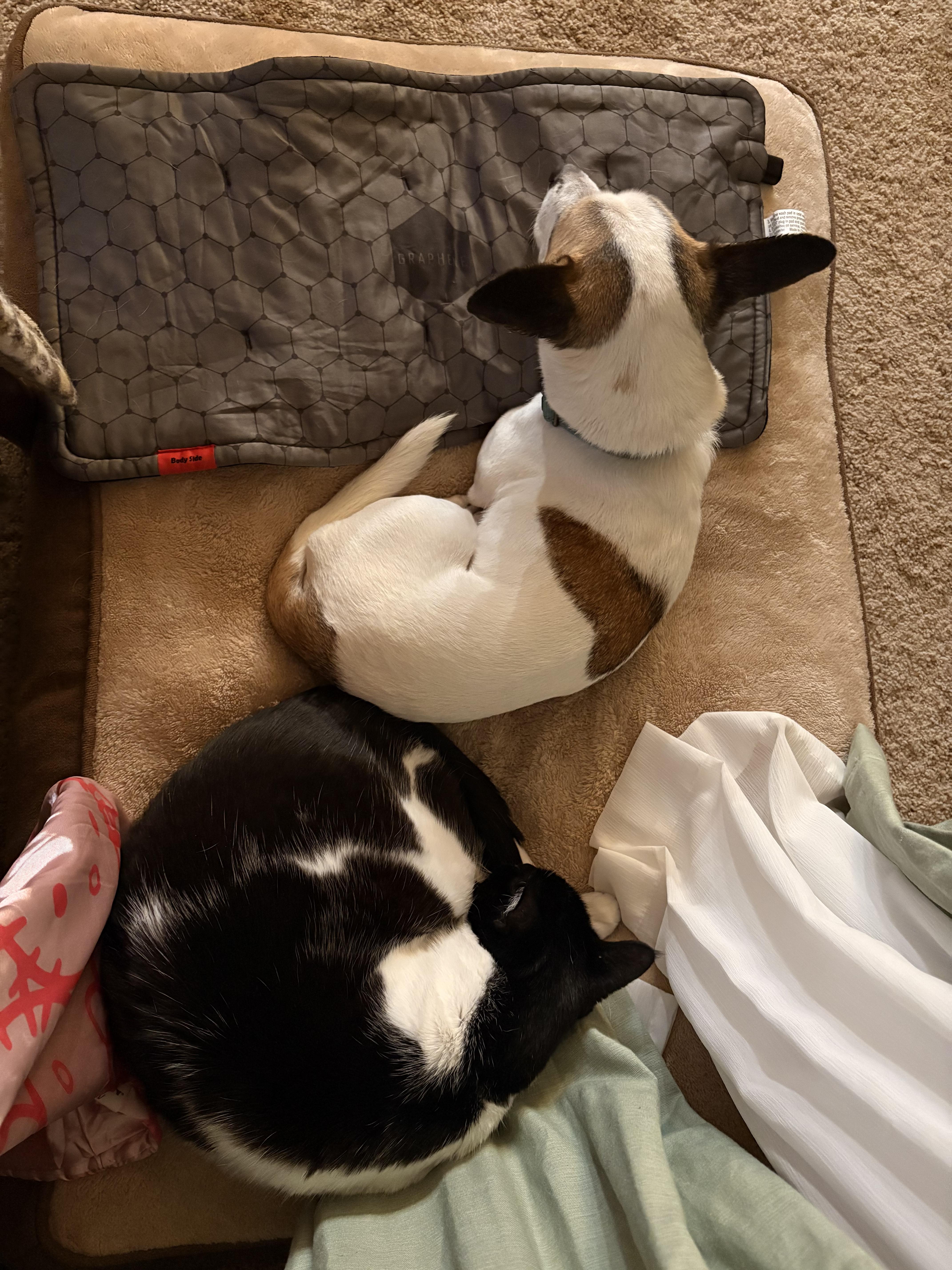 Buddysweet Shyer Guy! thumbnail 5