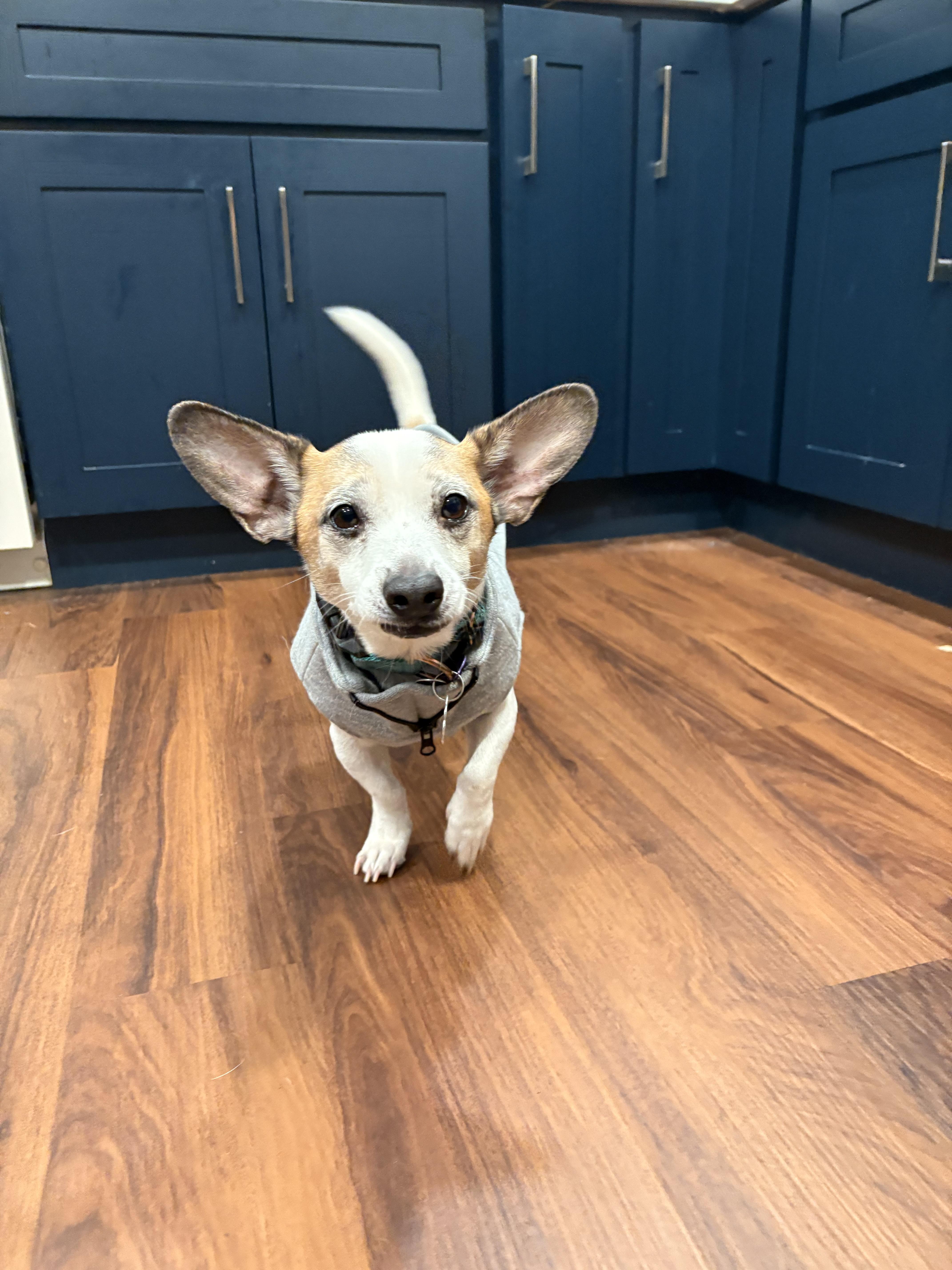 Buddysweet Shyer Guy! thumbnail 6