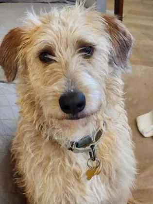 Max De Fluff thumbnail 2