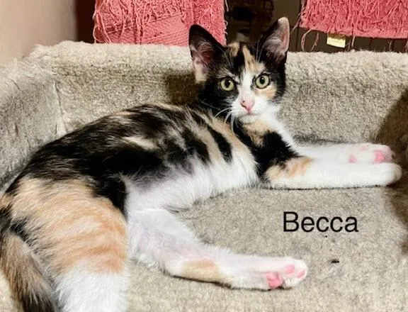 Becca thumbnail 4