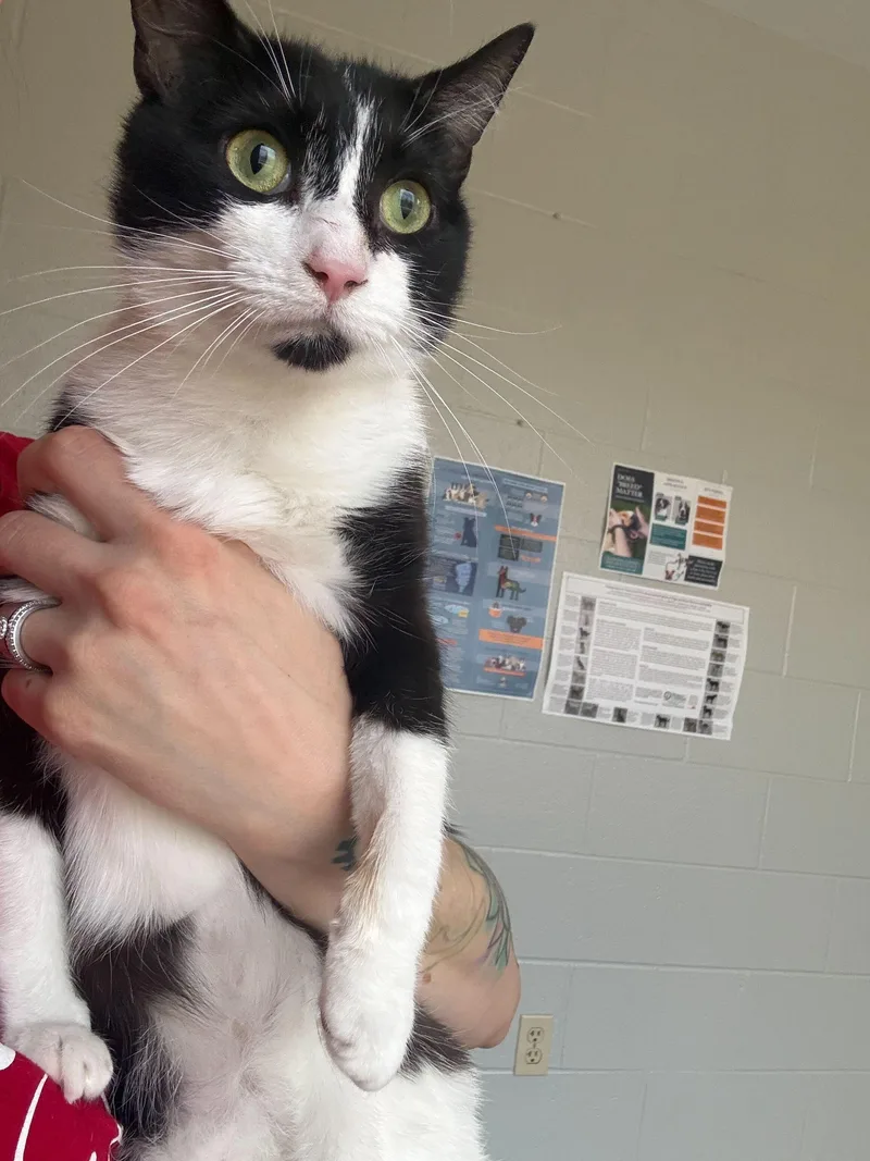 Sweet Willa thumbnail 2