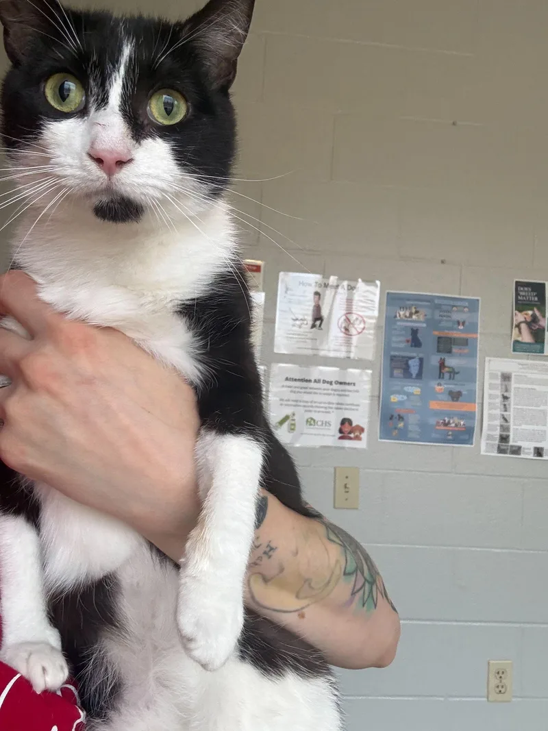 Sweet Willa thumbnail 6