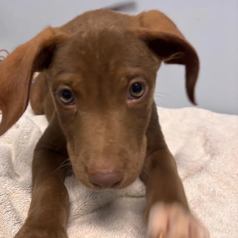 Ernie thumbnail 3