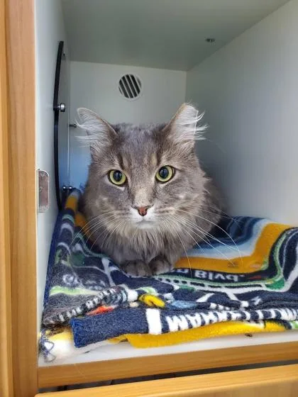 Cinderblock thumbnail 2